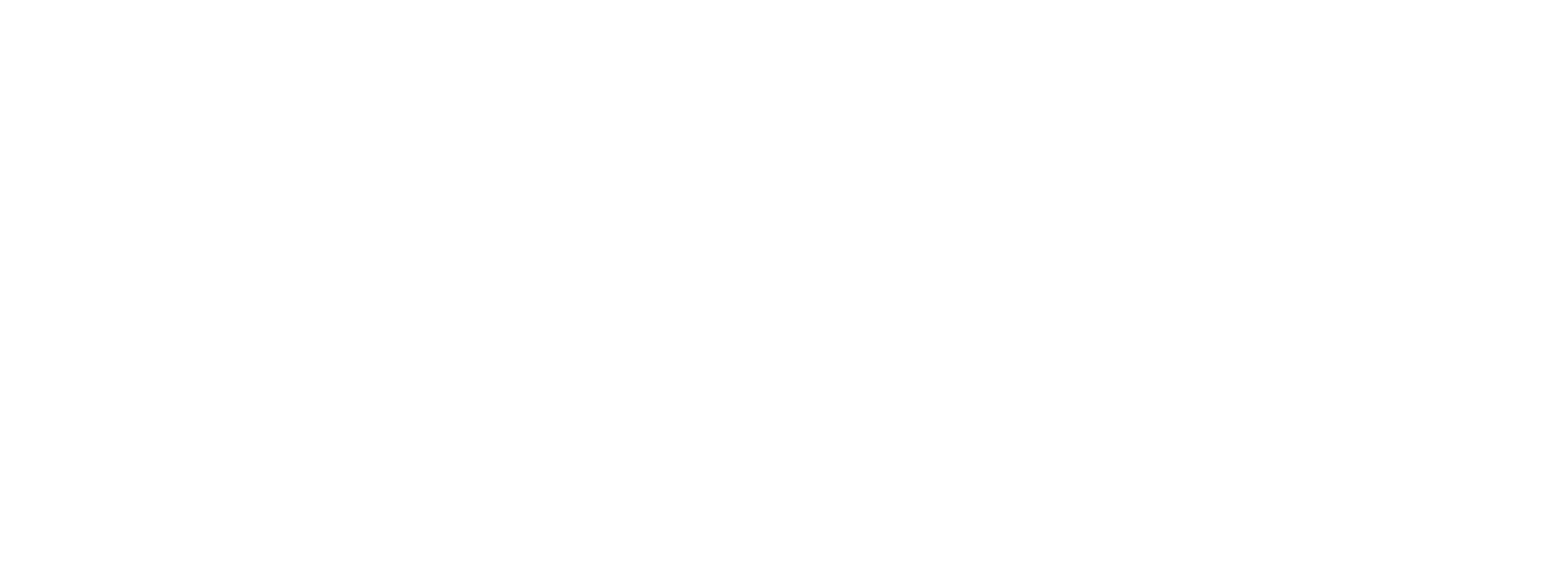 Waard Investments Diapositief2