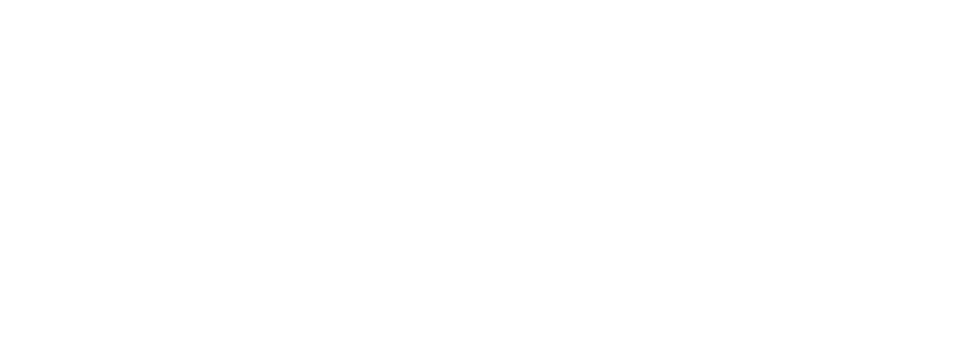 Waard Real Estate Diapositief2